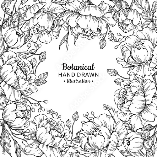 Vintage flower vector frame drawing. Peony, rose, leaves and ber