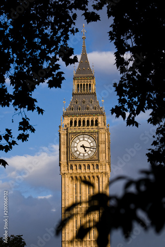 Elizabeth Tower or Big Ben in London, framed by silhouetted trees.