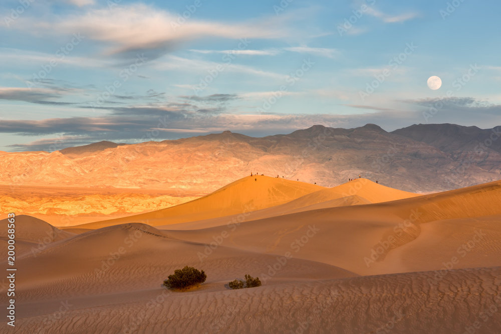 Naklejka premium Mesquite dunes in Death Valley, California, USA