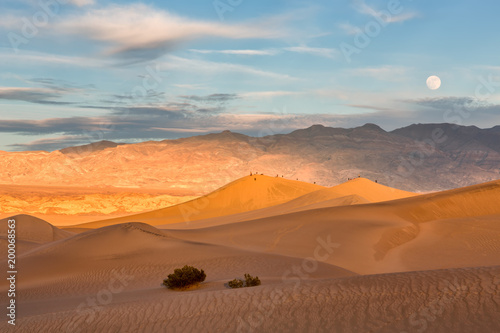 Mesquite dunes in Death Valley, California, USA