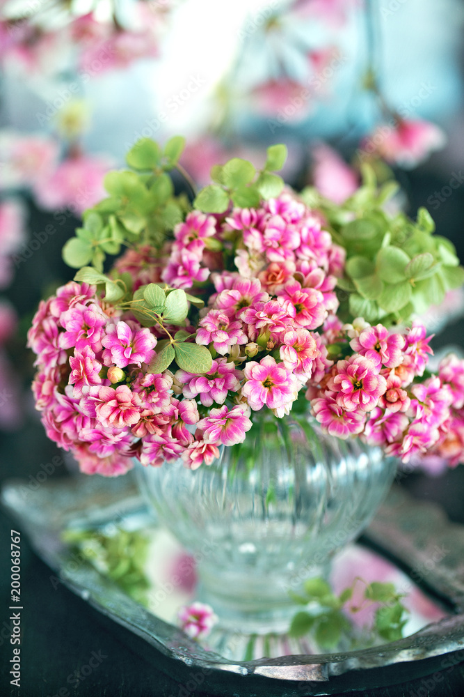 Lovely bunch of flowers. Pink Kalanchoe flowers on the table. 