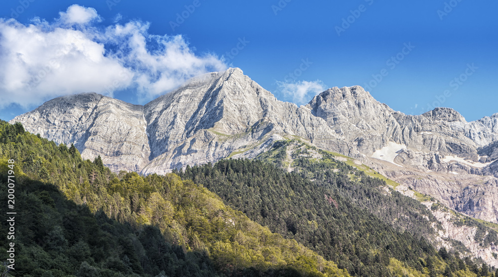 view of french pyreness