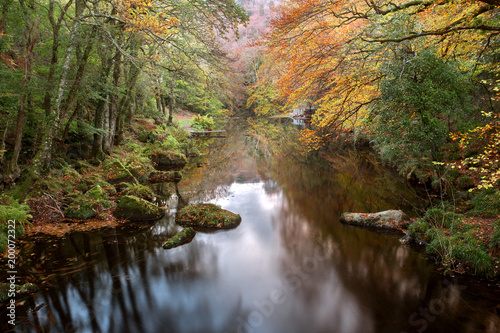 Plakat River Teign in autumn Drewsteignton devon uk