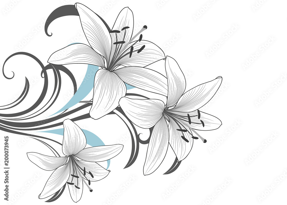 custom made wallpaper toronto digitalMonochrome background with hand-drawn lily flowers.