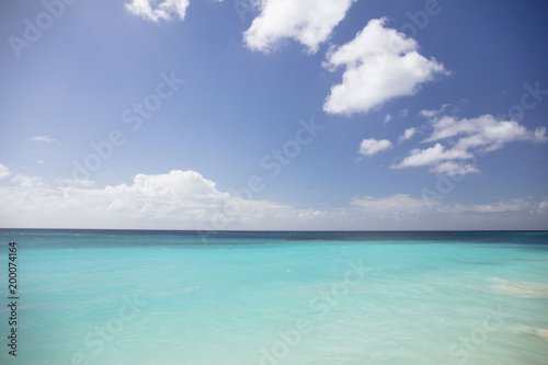 Fototapeta Naklejka Na Ścianę i Meble -  Summer vacations. Palm trees. Turquoise water. Exotic plants. Sunny blue sky. Beautiful white-sand beach. 
Travel agency background.