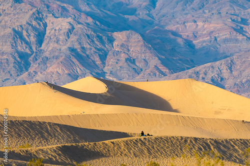 Mesquite dunes in Death Valley, California, USA