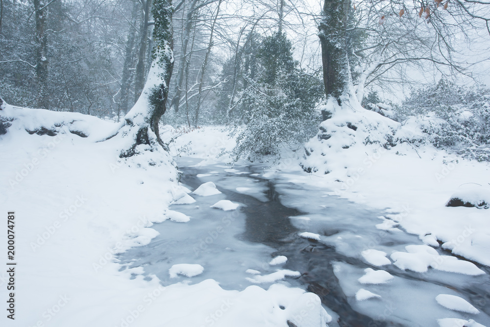Frozen mill leat near okehampton devon uk Frozen mill leat near okehampton devon uk