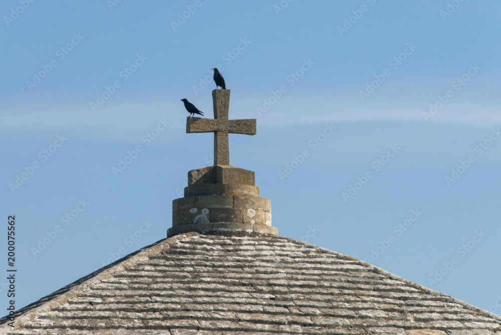 Ravens roosting on the cross of the St Albans or Adhelms chapel near Worth Matravers, Purbeck, Dorset, UK