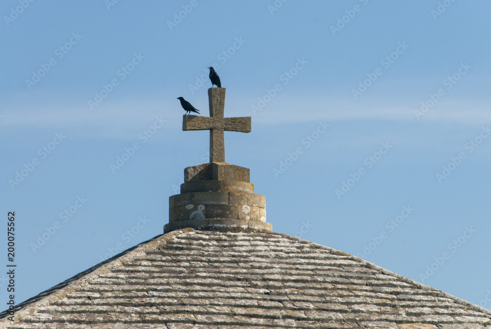Ravens roosting on the cross of the St Albans or Adhelms chapel near Worth Matravers, Purbeck, Dorset, UK Ravens roosting on the cross of the St Albans or Adhelms chapel near Worth Matravers, Purbeck, Dorset, UK