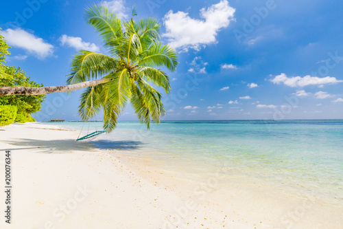 Beautiful beach scene, palm trees and white sand blue sea