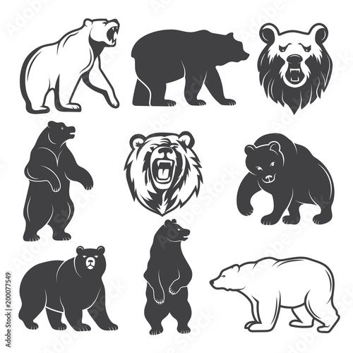 Monochrome illustrations of stylized bears. Pictures set for logos or badges design