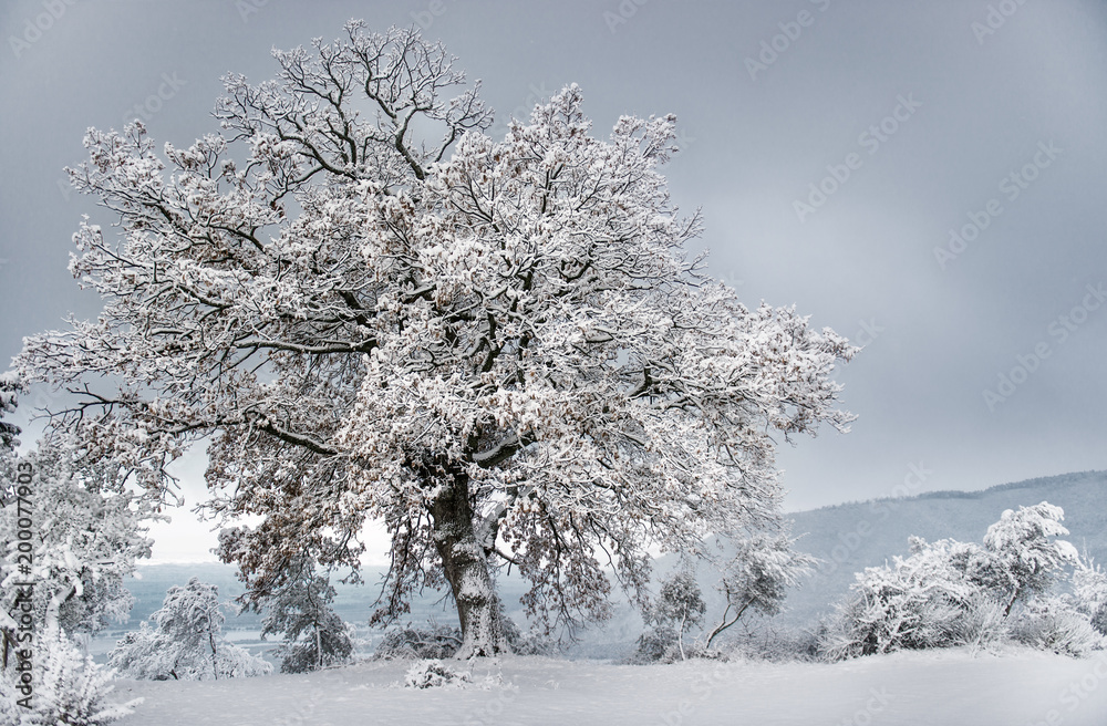 L'inverno a Bazzan