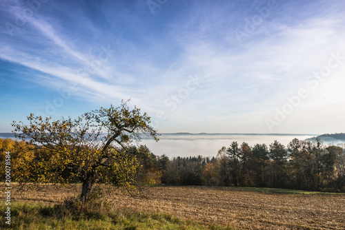 Landschaft im Burgenland (A)