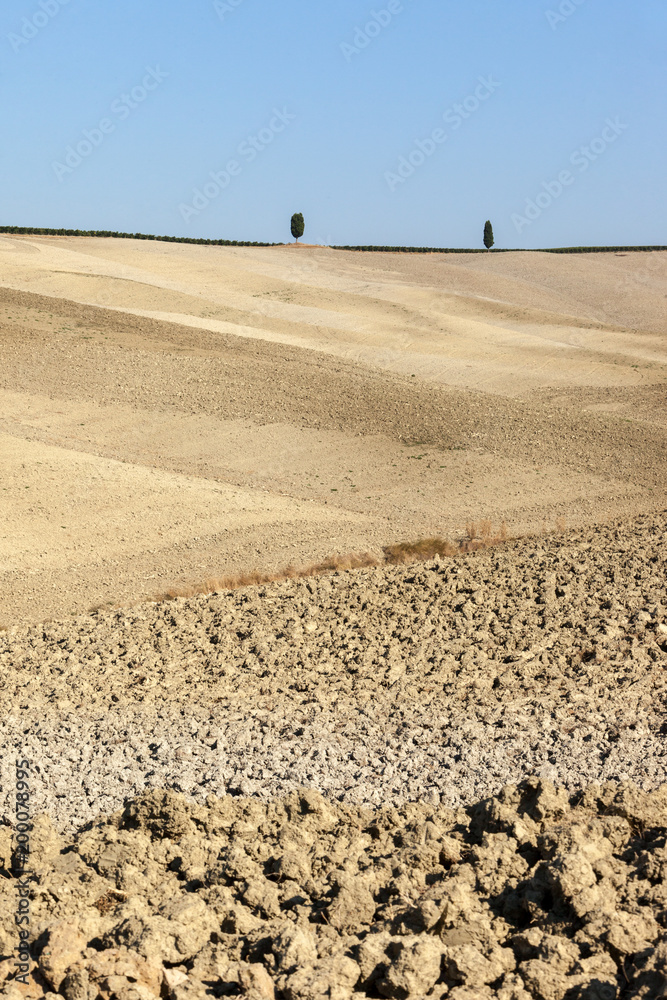 The rural landscape of the Tuscany. Italy The rural landscape of the Tuscany. Italy