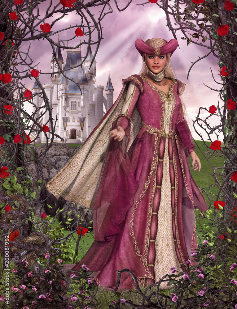 Fairy Tale Princess Sleeping Beauty Rose Castle