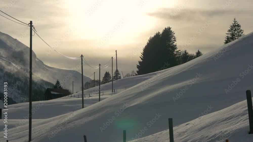 Posts on a snowy hill Posts on a snowy hill