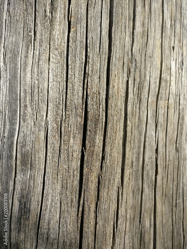 Textur Holz - IMG_20180304_164924