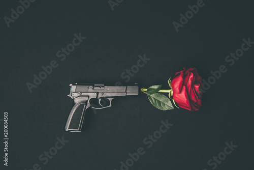 Fototapeta Red rose shooting from gun isolated on black