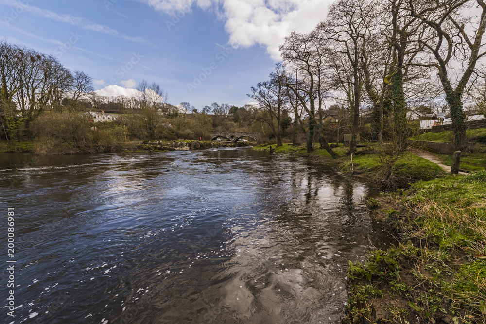 The River Teify, Wales, UK The River Teify, Wales, UK