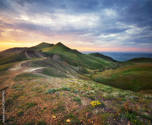 Beautiful spring green meadow in mountain. Composition of nature.