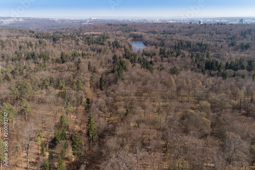 Blick aus der Vogelperspektive in den Mischwald im Frühling © nounours1