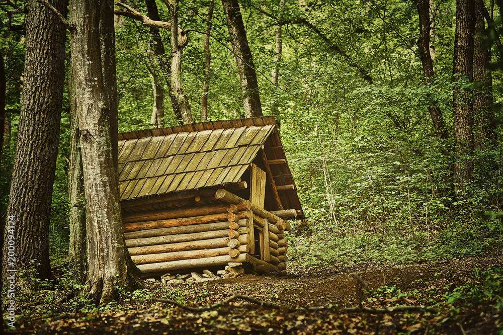Small Barn in the Forest Small Barn in the Forest