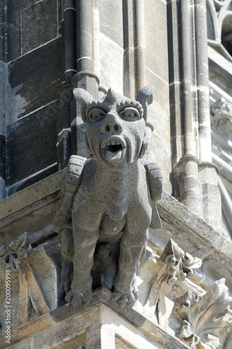 Gargoyle at Cologne Cathedral, Germany