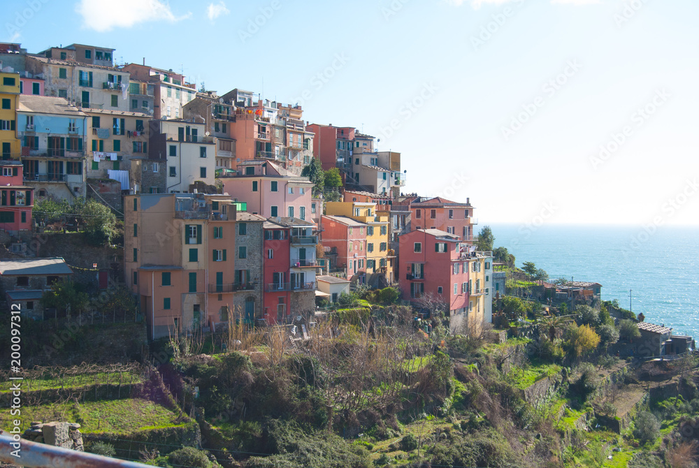 Overview of the colored houses and terraces of Corniglia - La Spezia