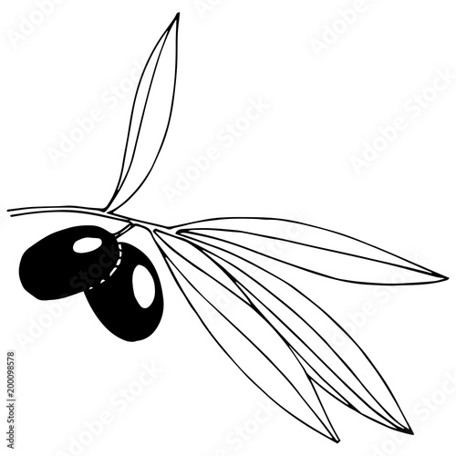 Olive tree in a vector style isolated. Full name of the plant: Branches of an olive tree. Vector olive tree for background, texture, wrapper pattern, frame or border.
