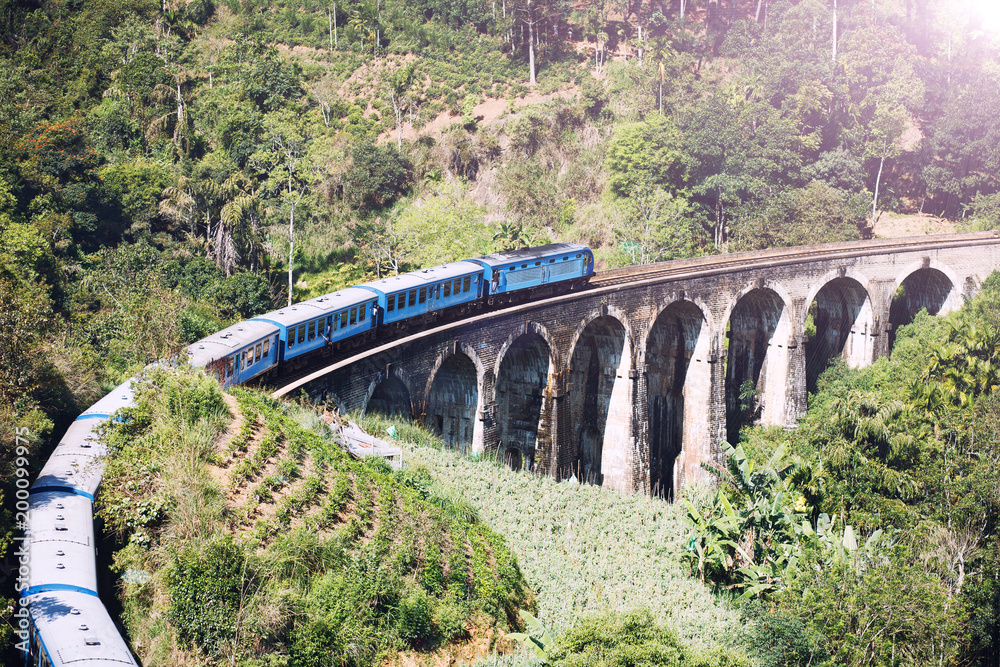 The train on the Nine Arches Bridge Demodara is one of the most famous bridges in Sri Lanka