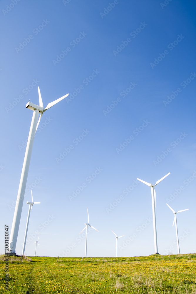 Wind mills near seaside in Poland standing on green meadow. Free renewable energy, electricity power concept Wind mills near seaside in Poland standing on green meadow. Free renewable energy, electricity power concept