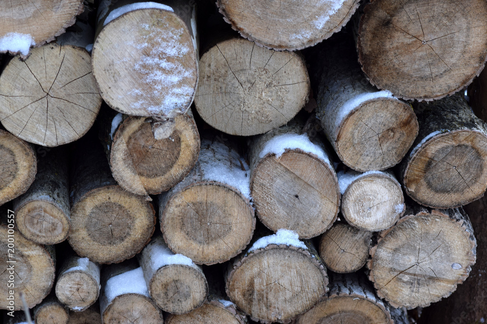 Stacked logs closeup texture background Stacked logs closeup texture background