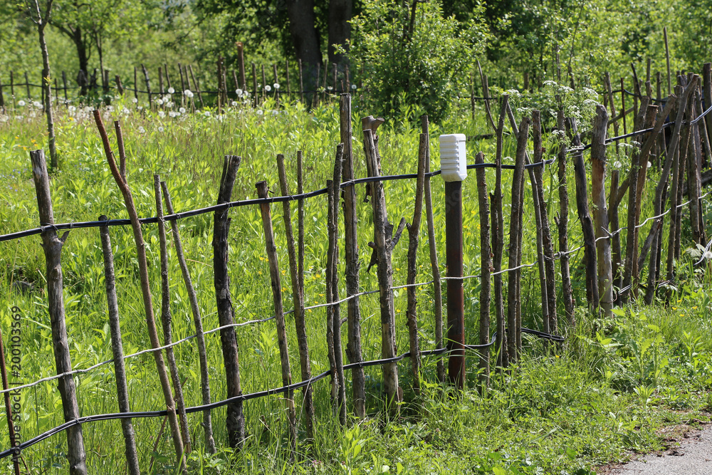 Fence / Village wattle