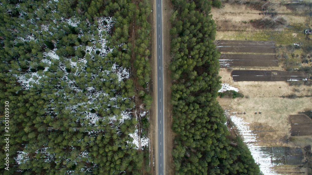 The landscape of a green forest and road from asphalt. The spring nature in Europe from a bird's eye view The landscape of a green forest and road from asphalt. The spring nature in Europe from a bird's eye view