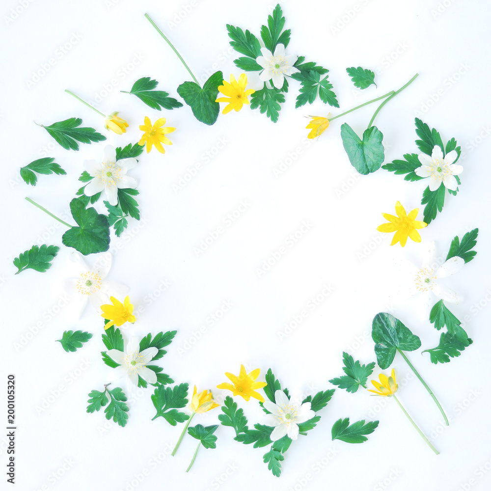 Floral frame made of yellow and white wildflowers and petals of herbs, green leaves, on white background. Flat lay, top view. Floral frame made of yellow and white wildflowers and petals of herbs, green leaves, on white background. Flat lay, top view.