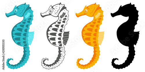 Seahorse collection. Hippocampus vector cartoon icon set of underwater fish and silhouette isolated on white background.