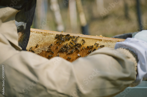 Beekeeping at our little family farm.