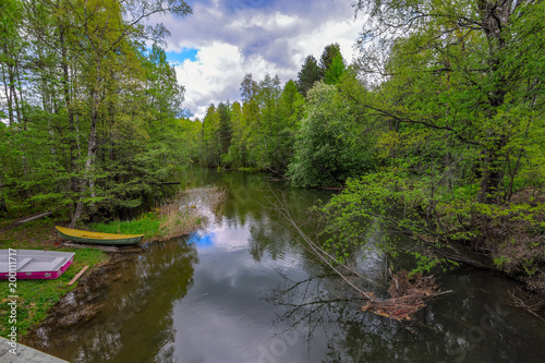 Quiet forest river photo