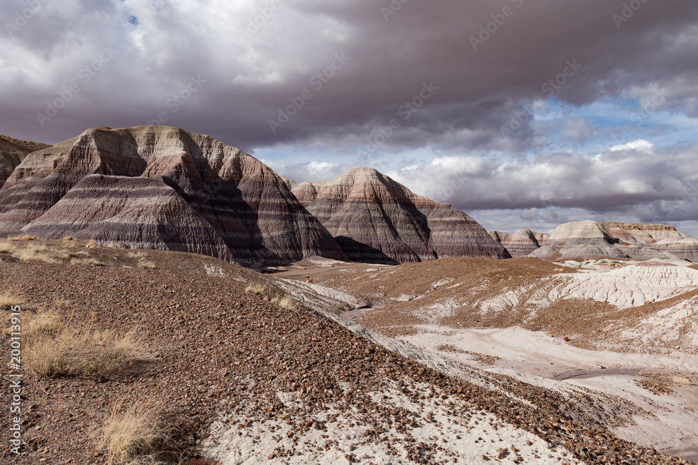 Painted Desert at Petrified Forest National Park with cloudy skies in background