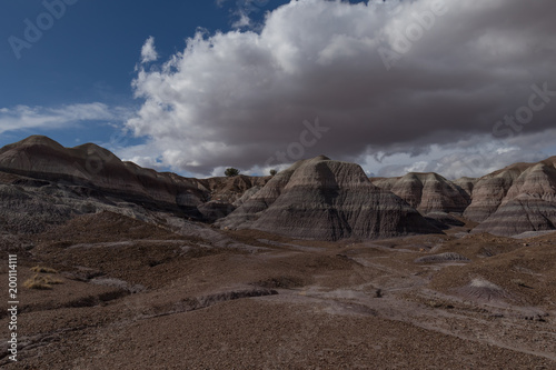 Painted Desert at Petrified Forest National Park with cloudy skies in background