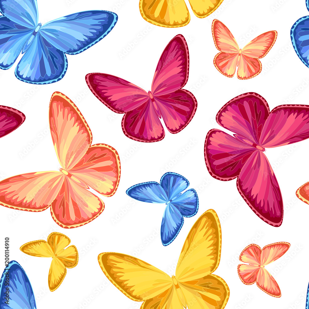 butterfly motels, seamless pattern, insect. Vector illustration.