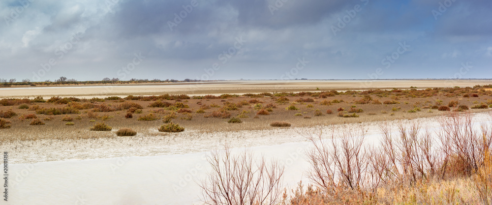 French landscape. The lagoon of Vaccarès in Camargue on a windy day with reeds.