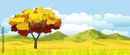 Horizontal Concept natural landscape vector view, single tree, yellow steppe, and clouds in the sky