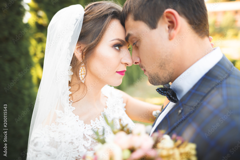 Perfect couple bride, groom posing and kissing in their wedding day