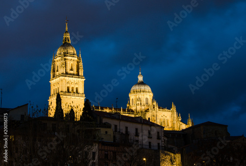 catedral de Salamanca, España