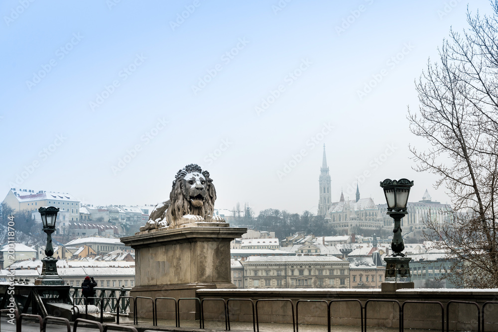Fototapeta premium Szechenyi Chain Bridge in Budapest, Hungary, Europe