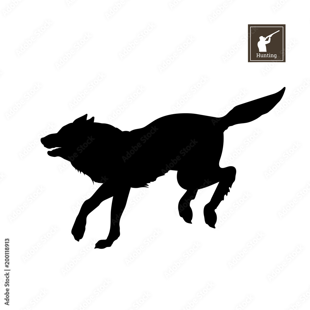 Naklejka premium Black silhouette of running wolf on white background. Forest animals. Detailed isolated image. Vector illustration