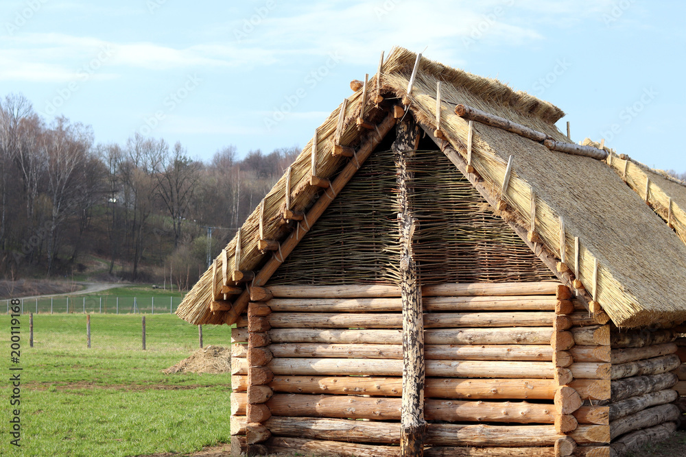 Reconstruction of the wooden structure, which served as a lodging house for the early peoples of central Europe. Architectural structure. The engineering thought of our ancestors. Reconstruction of the wooden structure, which served as a lodging house for the early peoples of central Europe. Architectural structure. The engineering thought of our ancestors.