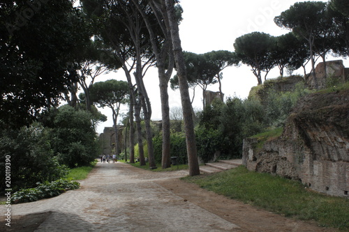 Rincones de Roma