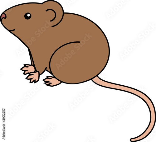 Cute cartoon brown house mouse on white background